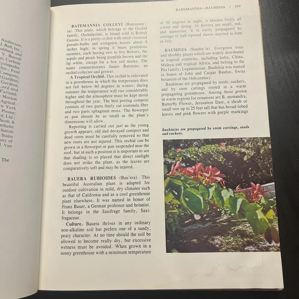 New Illustrated Encyclopedia of Gardening Volume 3 1967 Hardcover Bat to Bro